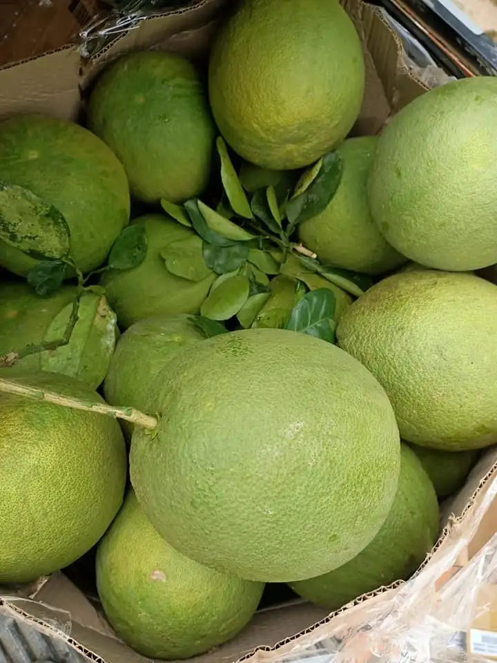 MOST POPULAR FRUIT PRODUCTS POMELO CONTAINS MANY NUTRITIONERS, SUPPORTS IMPROVEMENT OF HEALTH, HIGH QUALITY AT CHEAP PRICE