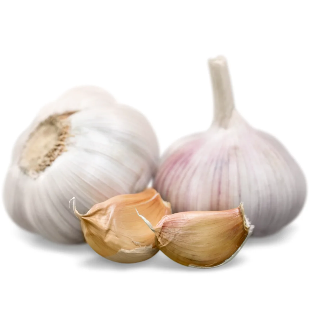 Top Product Dried Garlic Ready To Ship High Quality From Vietnam Dried Garlic For Cooking