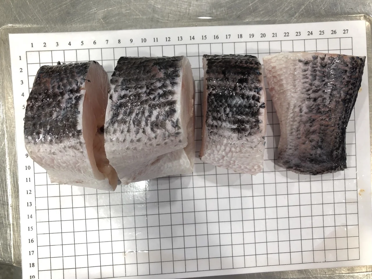 
BEST PRICE! Frozen Giant Snakehead steak from Vietnam 