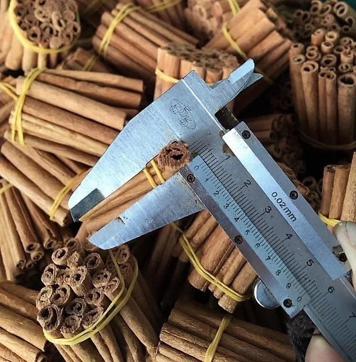 High Quality pure Cinnamon natural cinnamon best price in Vietnam