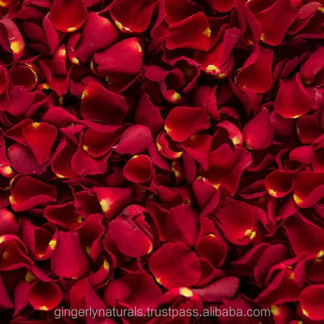 Rich Quality Dried Red Rose Petals from India