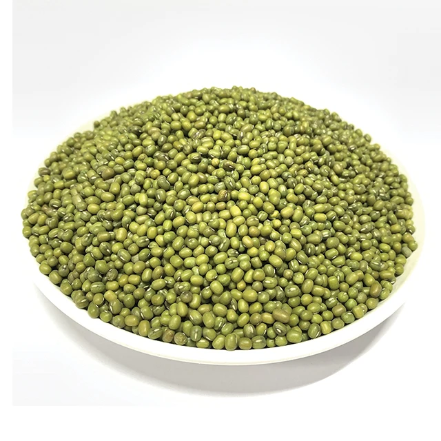 Wholesale Price Green Beans Bigger Size Cheap Top Quality Dried Green Mung Beans Made In Vietnam Best Price