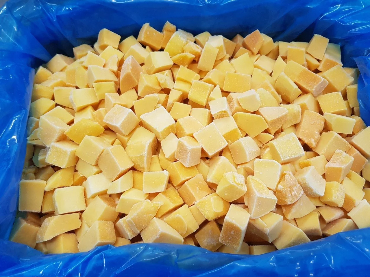 HIGH QUALITY FROZEN KAEW MANGO IN SEASON BULK QUANTITY BEST SELLING PRODUCT FROM VIETNAM MANUFACTURER
