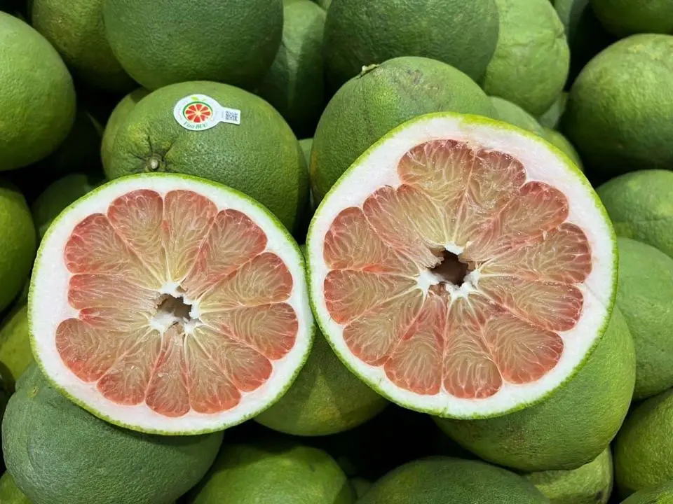 MOST POPULAR FRUIT PRODUCTS POMELO CONTAINS MANY NUTRITIONERS, SUPPORTS IMPROVEMENT OF HEALTH, HIGH QUALITY AT CHEAP PRICE
