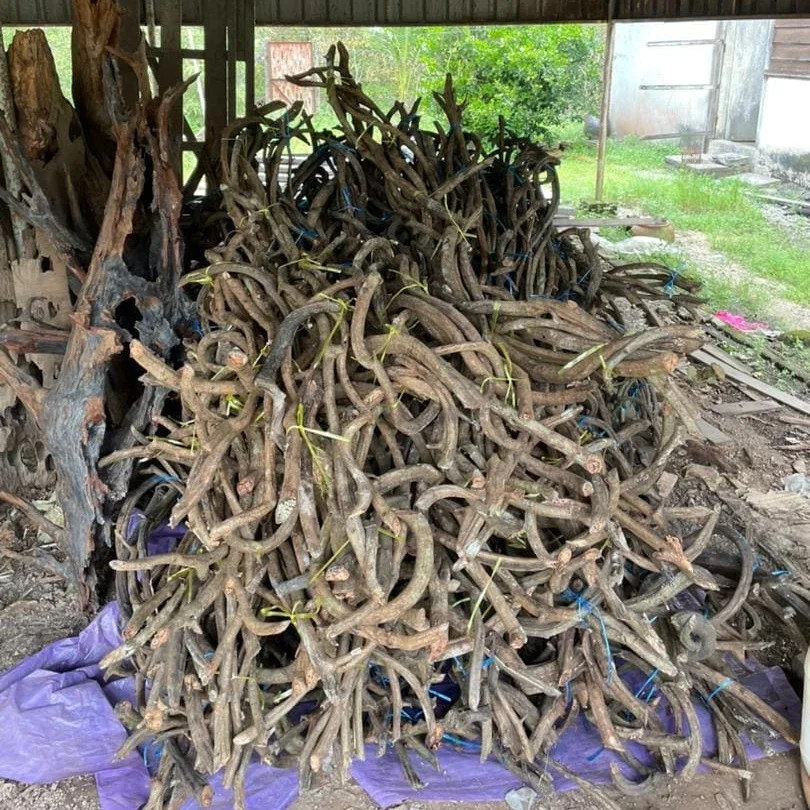 Unique Top Selling Natural Liane Wood Bird Cage Bird Reptiles Aquariums & Accessories Pet Home Pet Products Wooden Furniture