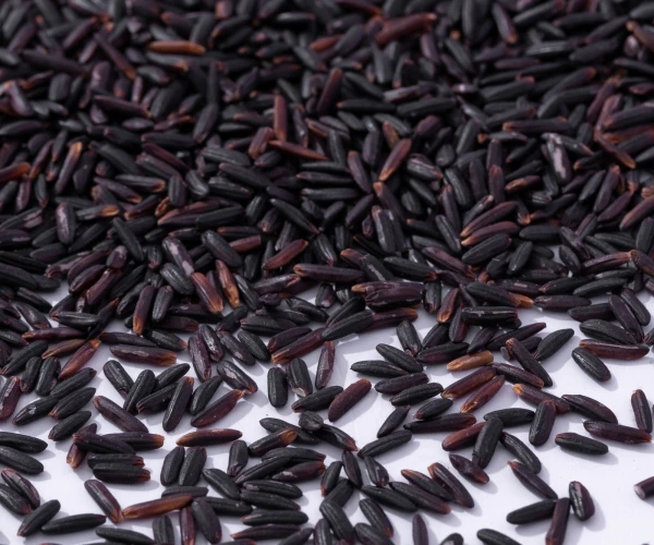 VIETNAM BLACK RICE 5% BROKEN NEW CROP, HEALTHY RICE,  VIETNAMESE RICE HIGH QUALITY WHOLESALE|Ms Emma +84332469432