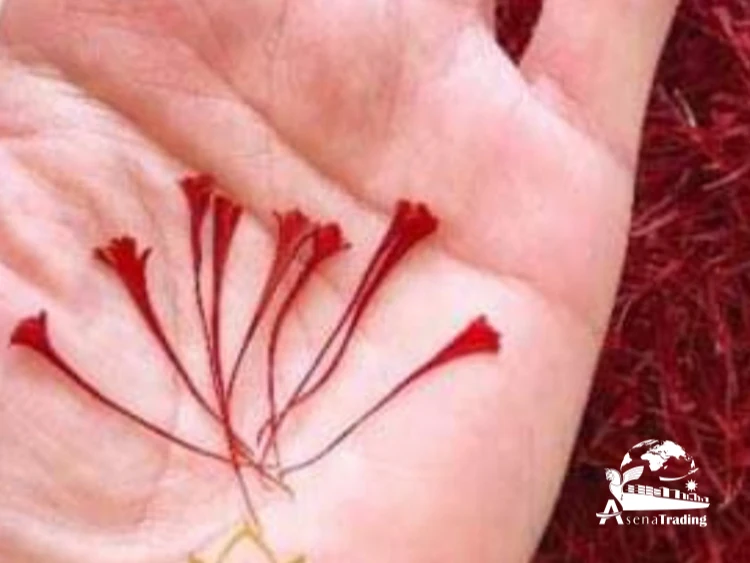 Professional manufacturer supply factory price Zang hong hua premium super saffron with packaged saffron