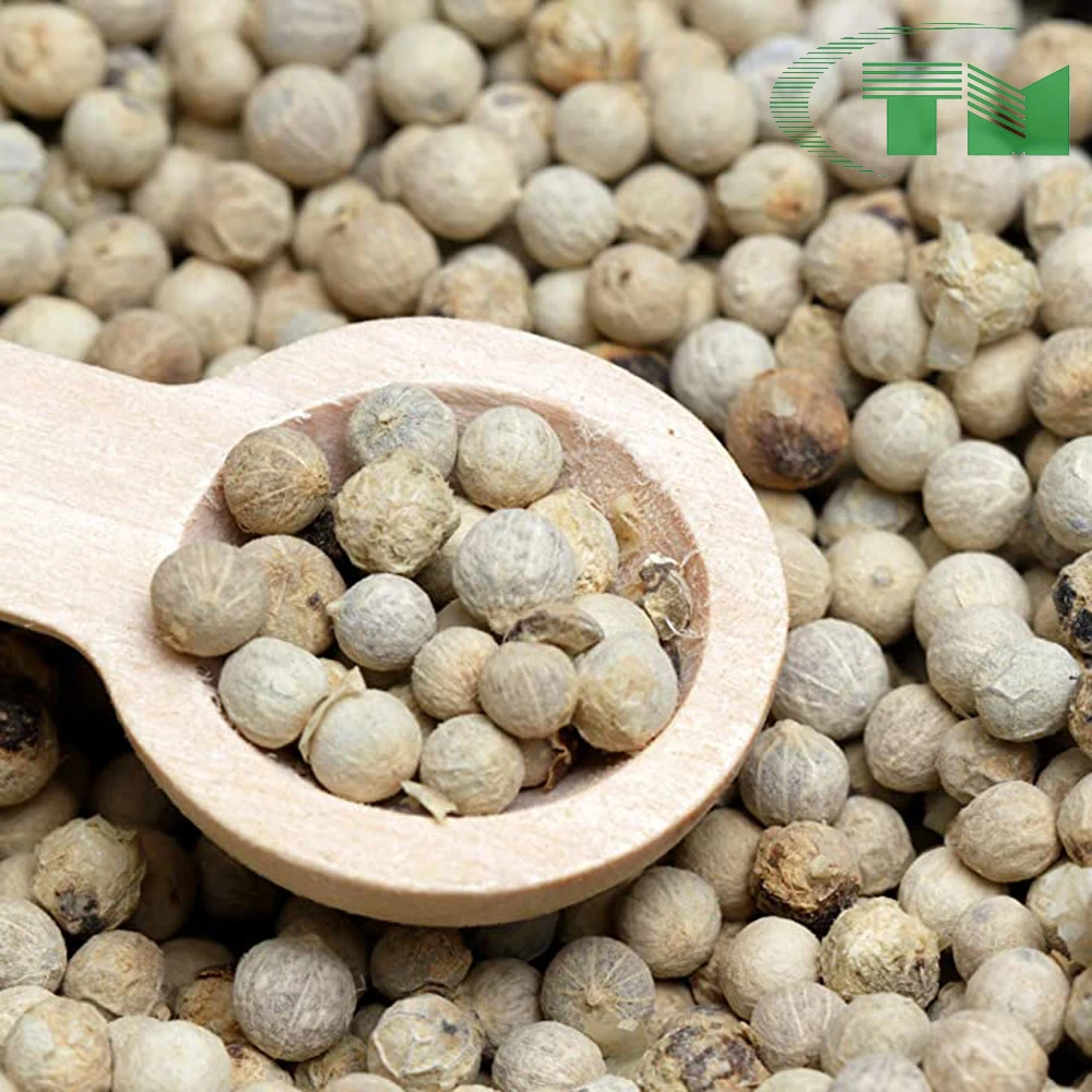 Vietnam Coffee Bean Raw 100% Pure Robusta G Manufacturer Wholesale New Crop Seasoning Raw Top Spices & Herbs Product best price