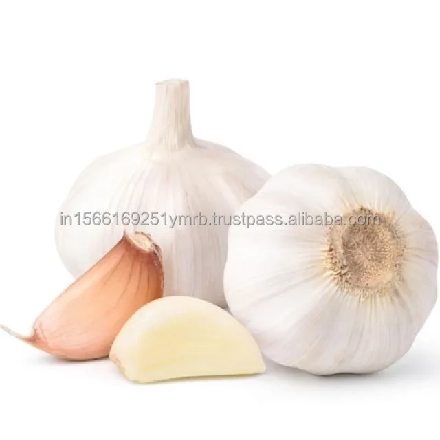 Wholesale fresh purple peeled garlic price for export