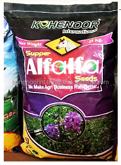 Top Quality Kohenoor A1 Alfalfa Seed