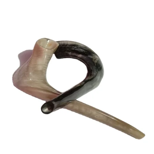 100% Natural Sheep Ram Horn Polished Shofar