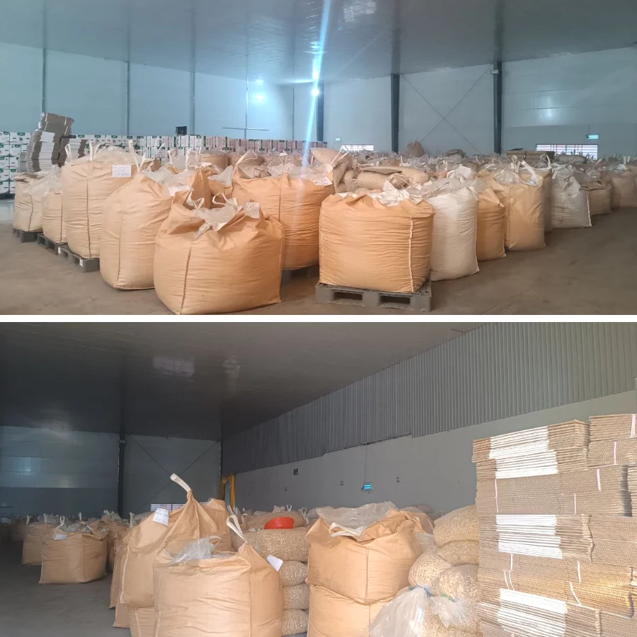 New Product 2023 - Raw Cashew Nuts W320 Viet Nam With Good Price Wholesale Good For Health