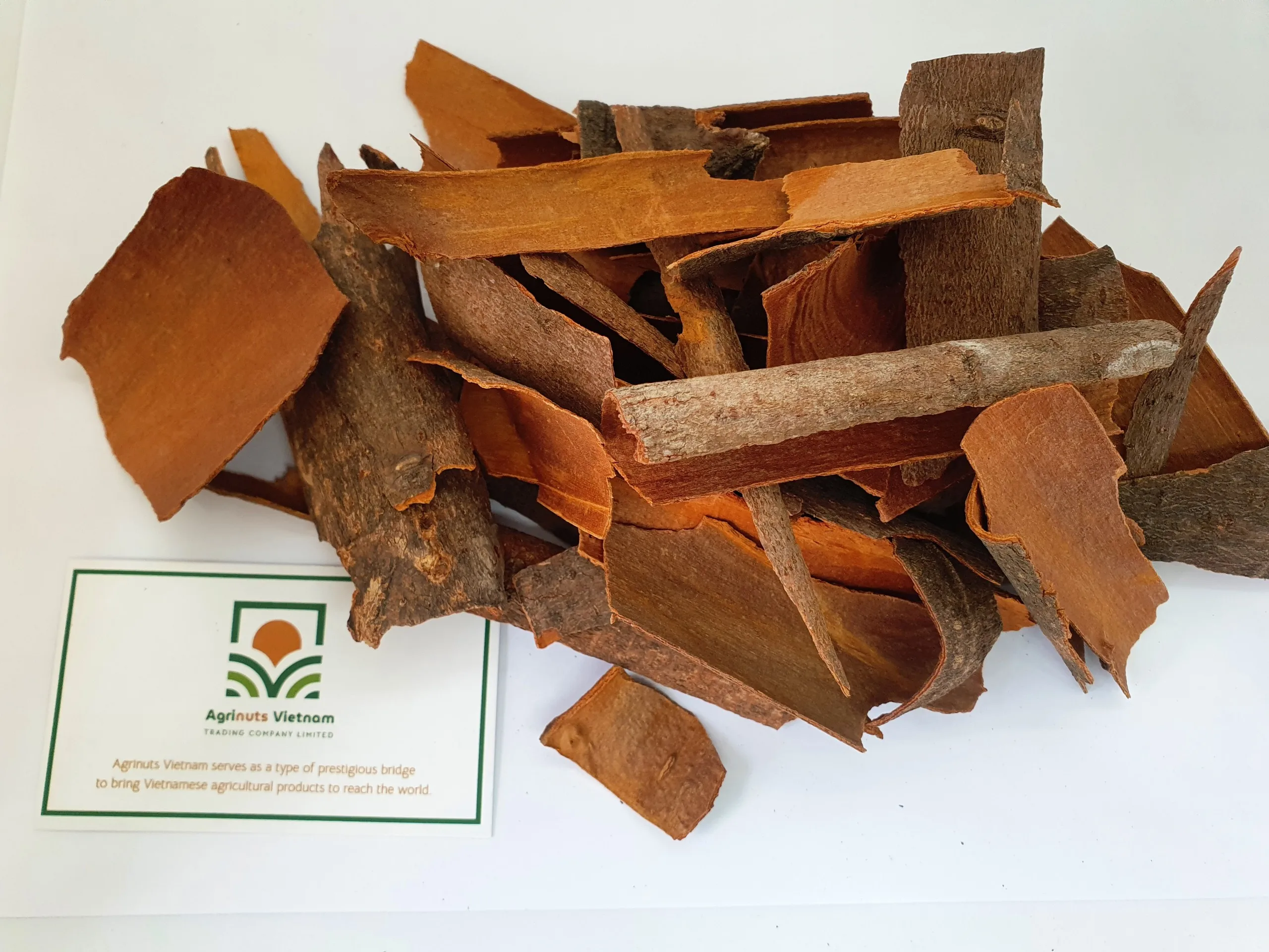 Product With Best Price For Sale High Quality From Manufacture Cassia Broken with skin Origin Vietnam
