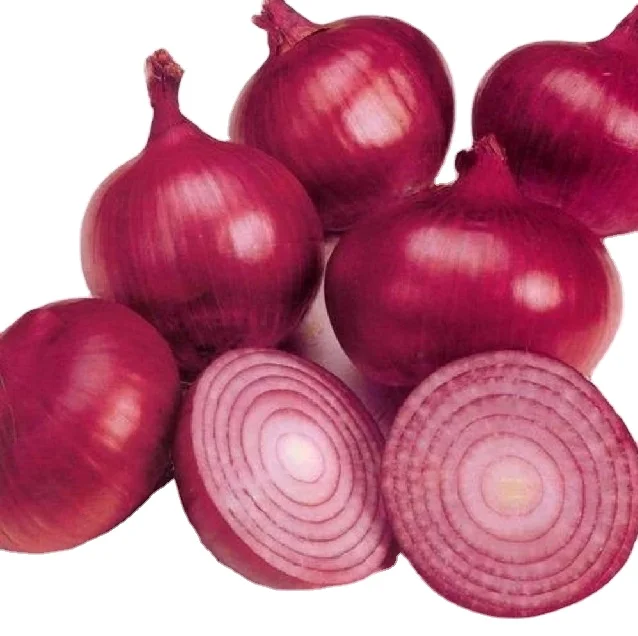 Best Selling And High Quality Wonderful Delicious Fresh Vegetable Red Onion at Wholesale Prices for Worldwide Export From India