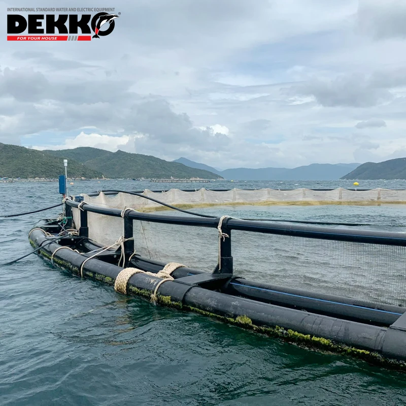 DEKKO Cheap price Tilapia hdpe floating aquaculture cage fish farming cage Double tube square fish cage for Tilapia Fish Farming