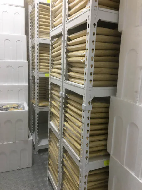 D197 Musang King Frozen Durian Pulp in Malaysia