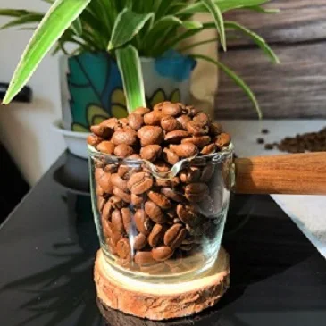 Arabica coffee beans with light roast, medium roast and dark roast, high quality made in Vietnam with low MQQ and good price