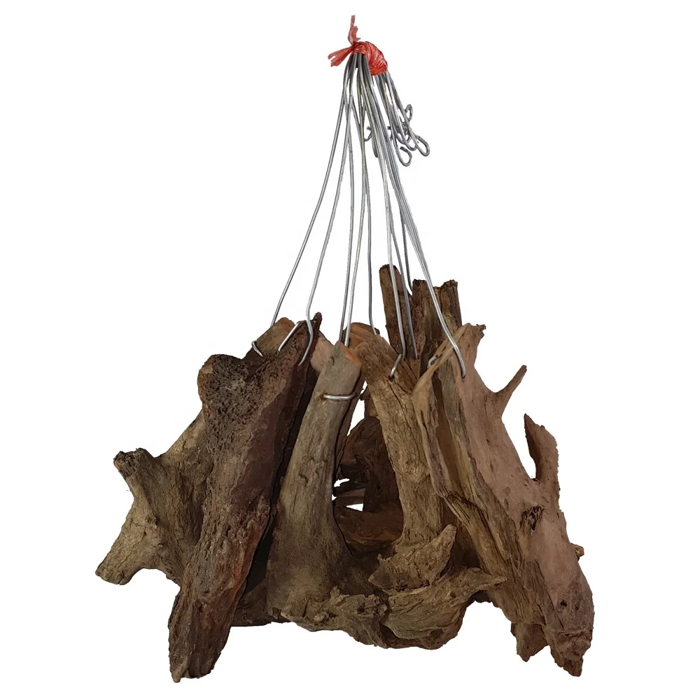 New Driftwood for Air Plants Hanging : Orchid, Tillandsia High Quality Products From Thailand