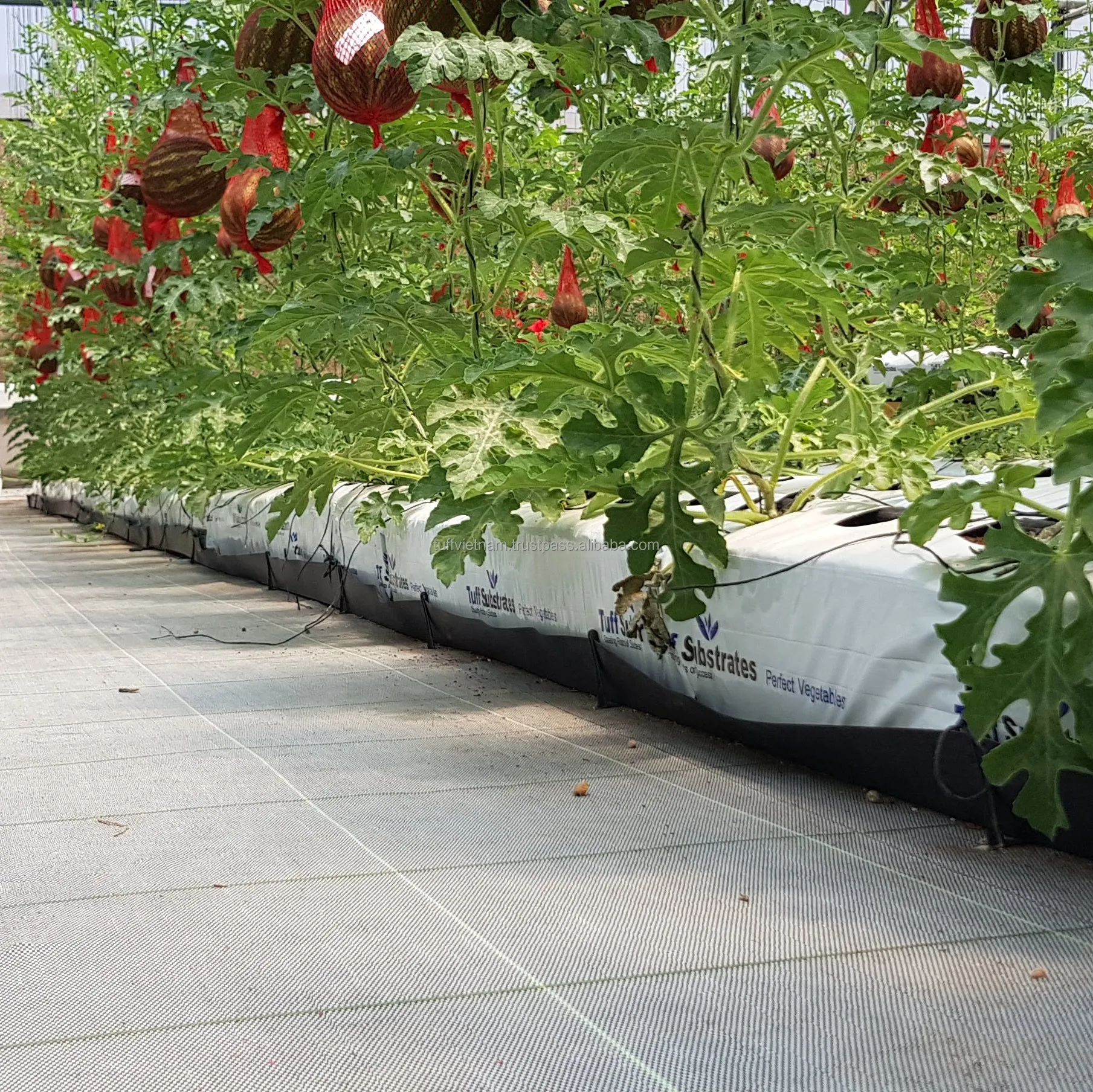 Cocopeat Growbag 28L Coconut Fiber / Peat Moss For Sale Grow Bags For Planting Tree Low EC