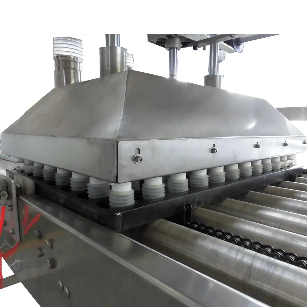 custard Cake Production Line with baking oven // sponge cake making line with good material