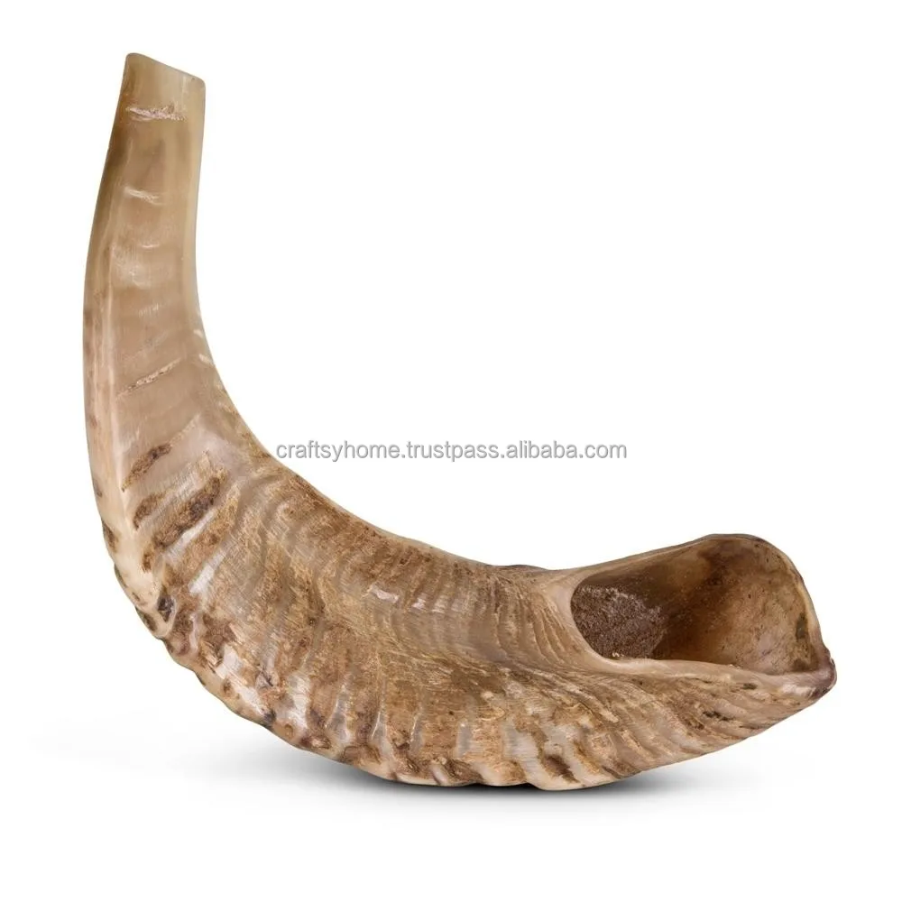 Натуральный Рог Shofar ручной работы для выдувания и религиозного назначения Кошерный полированный сделано в Израиле рог Kudu