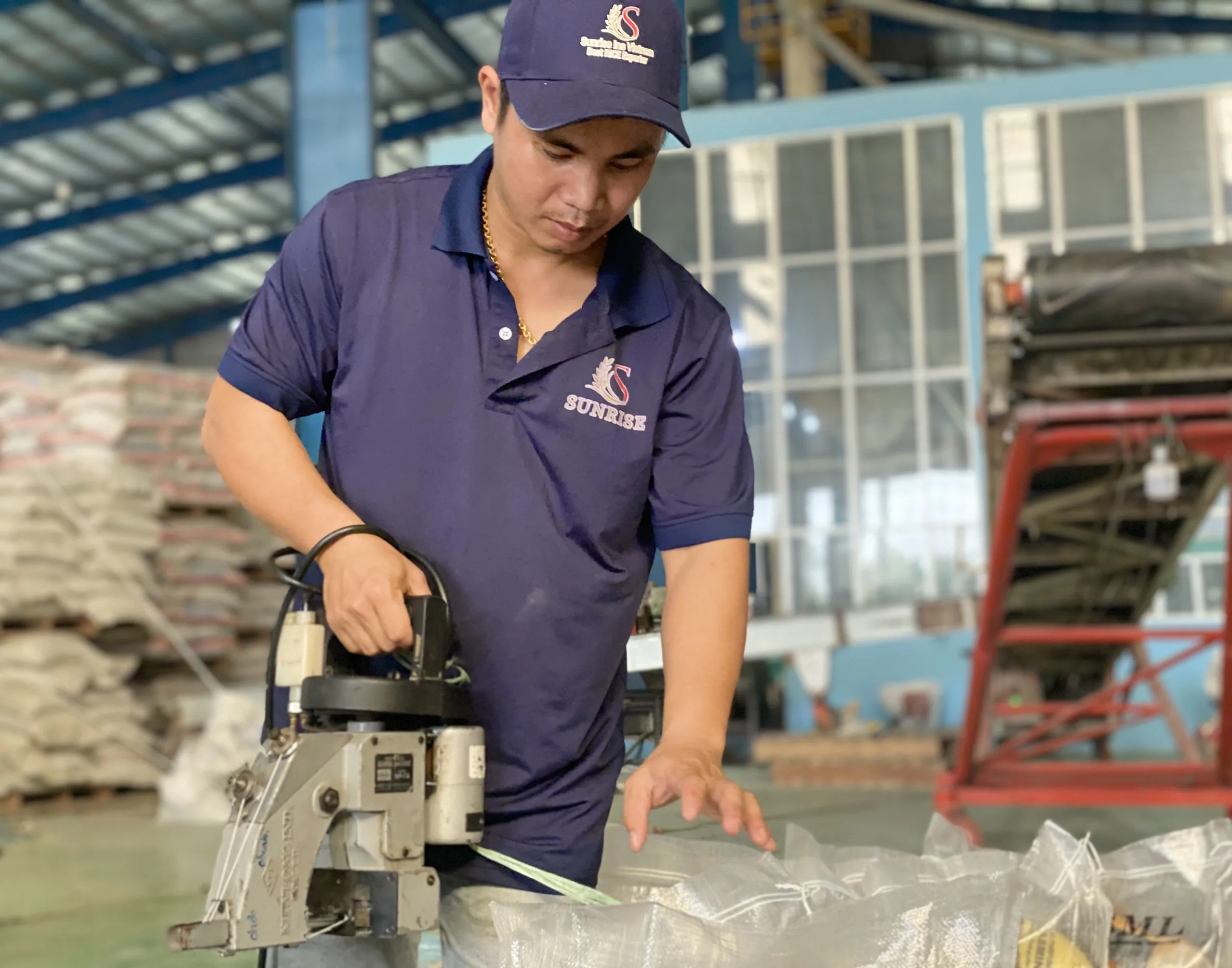 Jasmine Rice white swan with best price and high quality Viet Nam rice