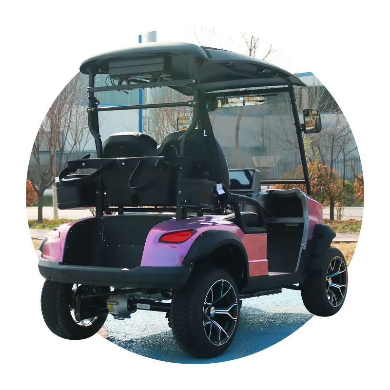 Golf Cart With Curtis Controller 2 Seater Electric Lithium Battery Golf Cart Off-Road Golf Carts