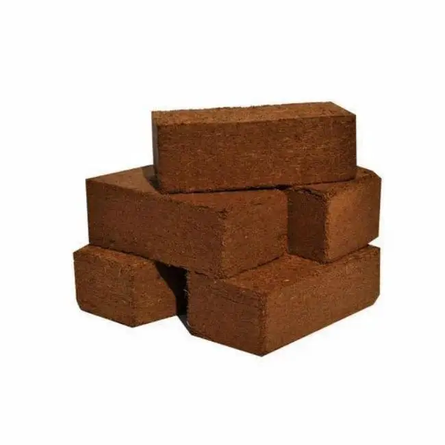 High Quality Performance Buffered Coir Peat 5kg Blocks Eco-Friendly 4732 Blocks in 22 Pallets for Garden Decoration Horticulture