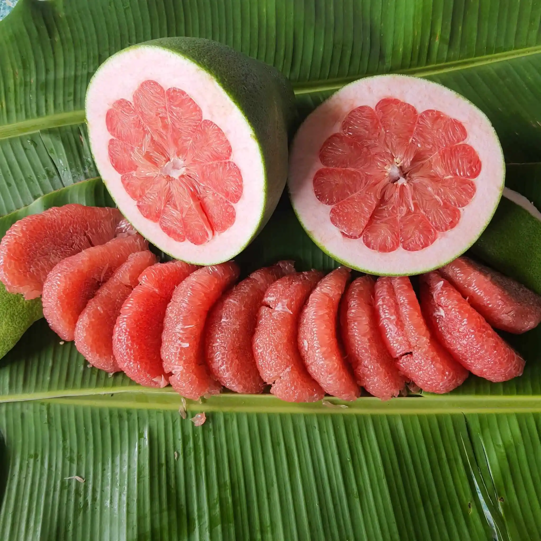 (Дешевая цена) вкусный свежий розовый помело из Вьетнама/Вдельта