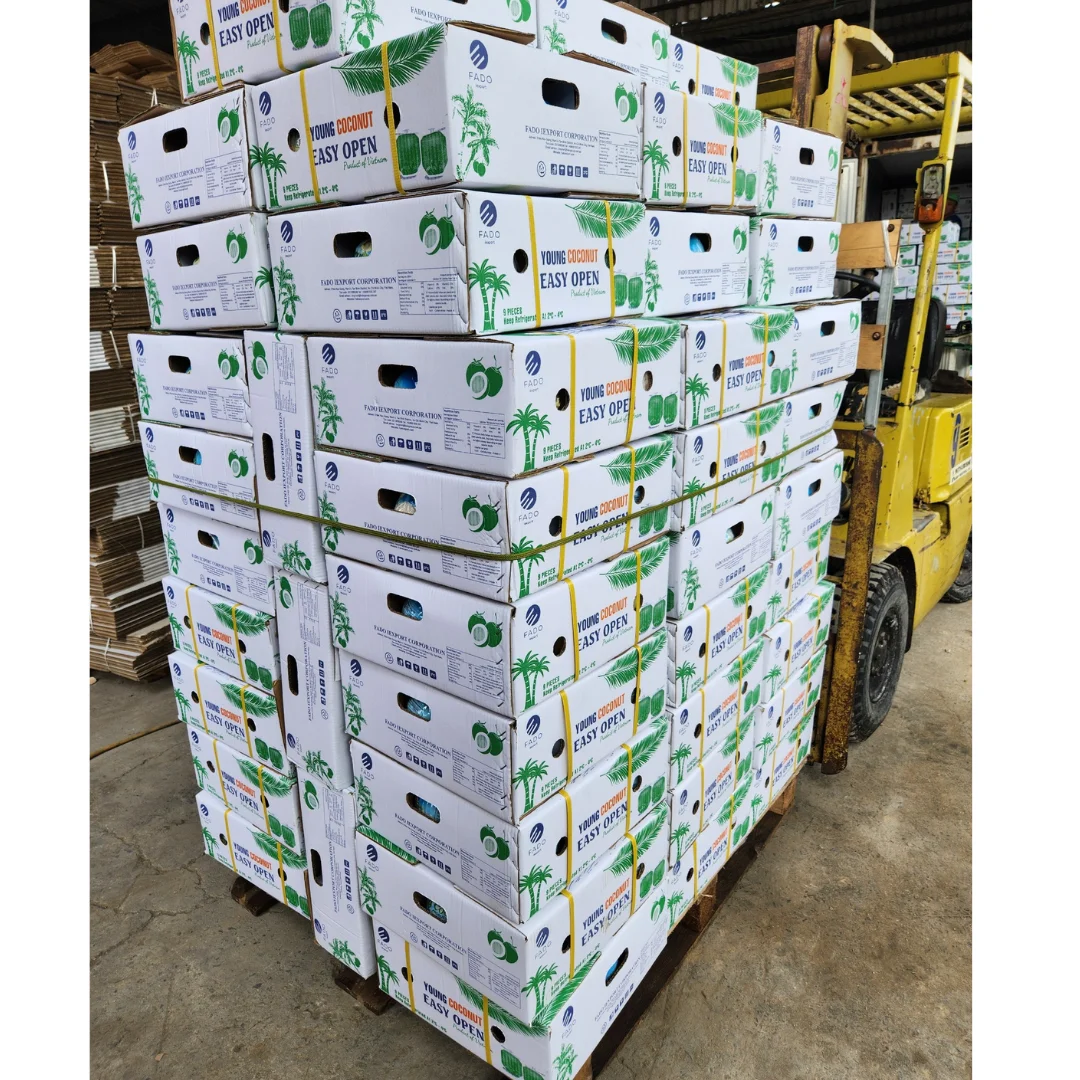 Fresh Coconuts Wholesales 2024 Vietnam Coconut Easy Open High Quality Green Coconut in Viet Nam Ready To Ship
