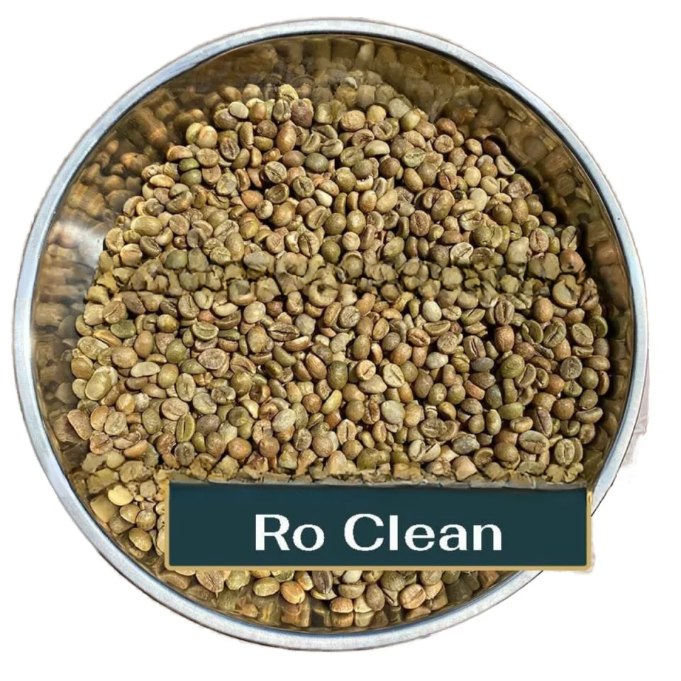 Высококачественные зеленые кофейные зерна Robusta / Arabica Clean S16 S18-AA экспорт из Вьетнама-DHP One