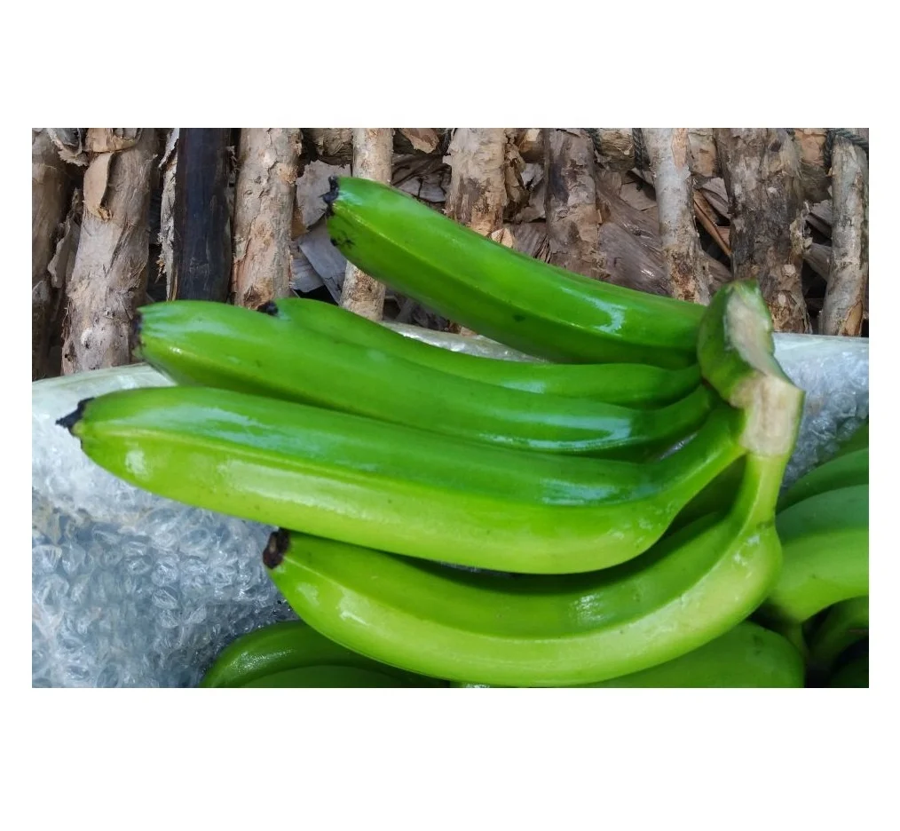 Vietnamese Green Cavendish Banana / Fresh bananas fruit vegetables/ Agriculture from Vietnam
