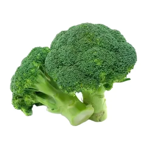 Wholesale Price Broccoli Supplier Fresh Green Vegetables Broccoli IQF  newest crop good quality broccoli