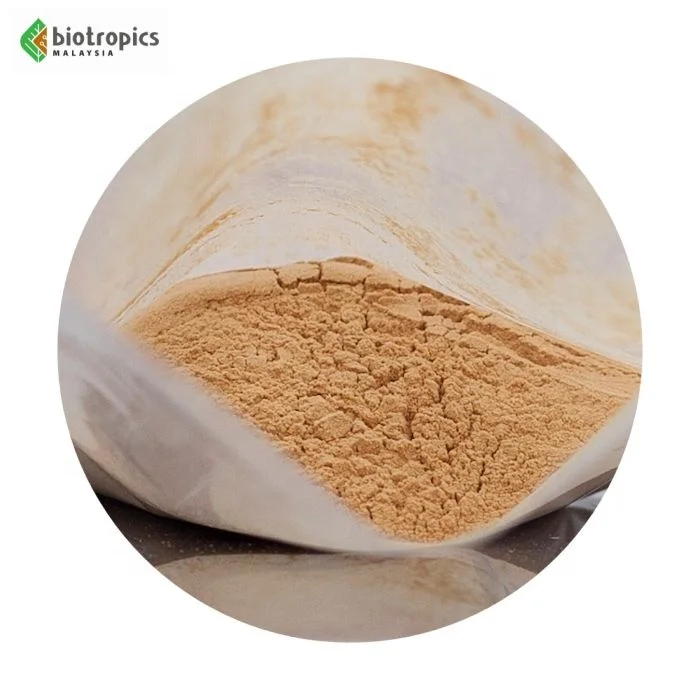 100% Pure Root Tongkat Ali Fine Powder Herbal Supplement for Energy and Vitality Boost Food Grade Men Supplement