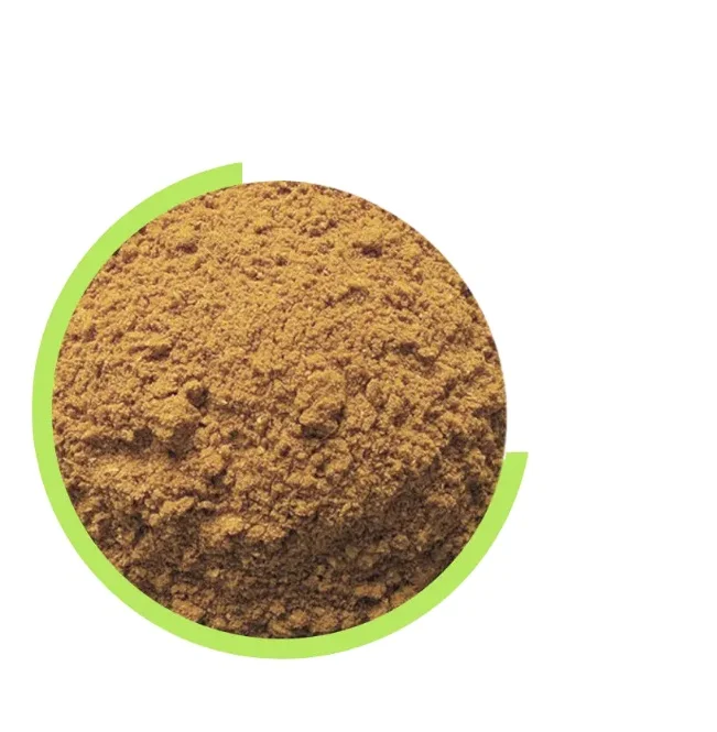 Manufacturer Bulk Natural Cordycepin Pure Cordyceps Sinensis Extract Powder for Export