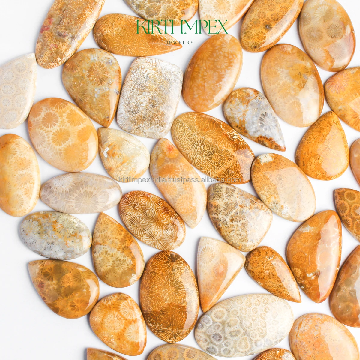 Natural Fossil Coral Cabochons Semi-Precious Loose Crystal Trending Authentic Organic Gemstones FlatBacks Fine Quality