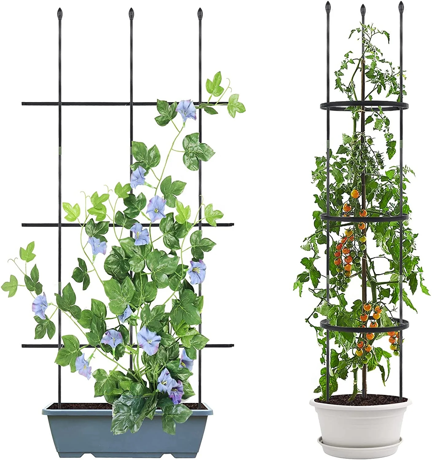 Multi-function Plant Support Cage