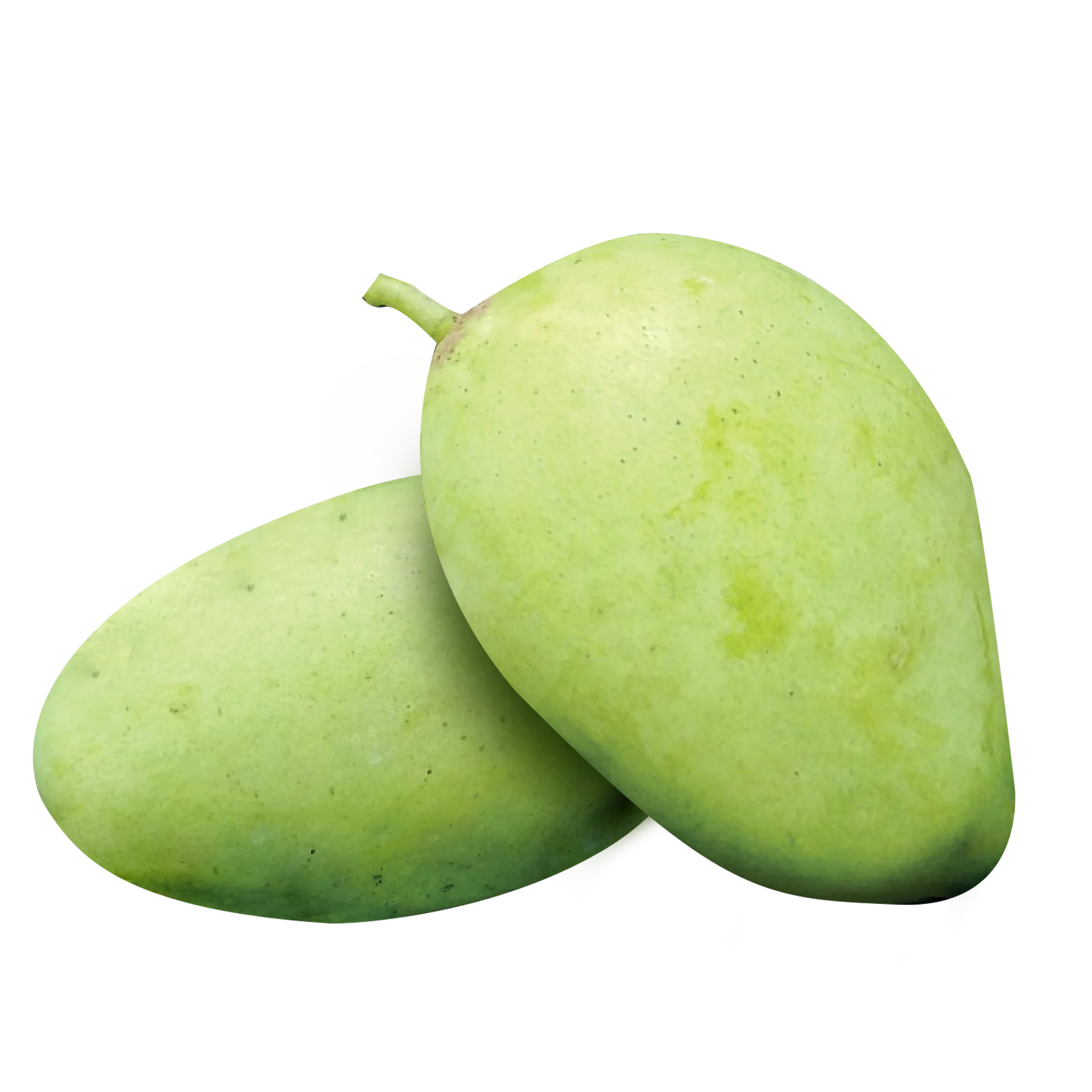 New Arrival 2022 High Quality Fresh Cat Chu Yellow Mango From Viet Nam Ready To Ship