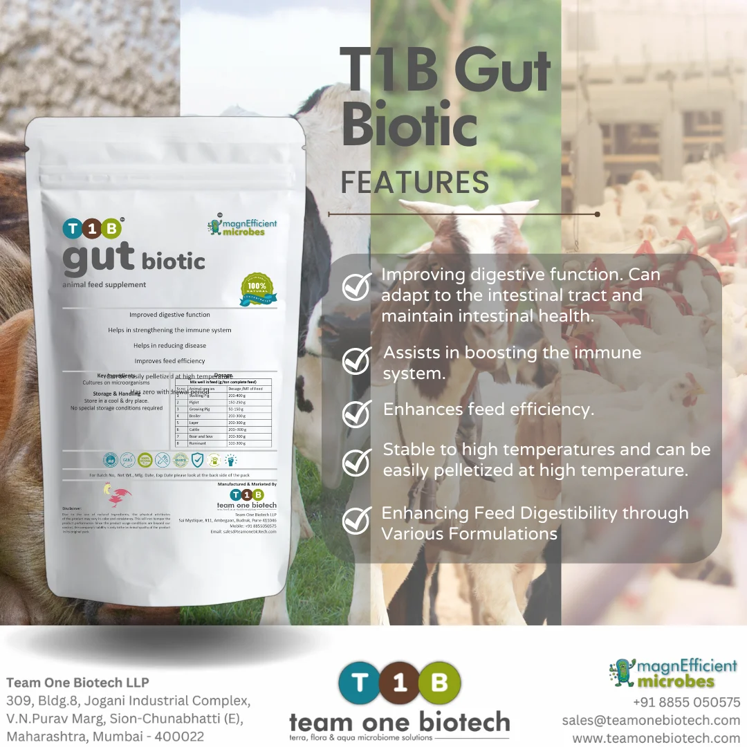 High Stability Gut Biotic for Livestock Feed