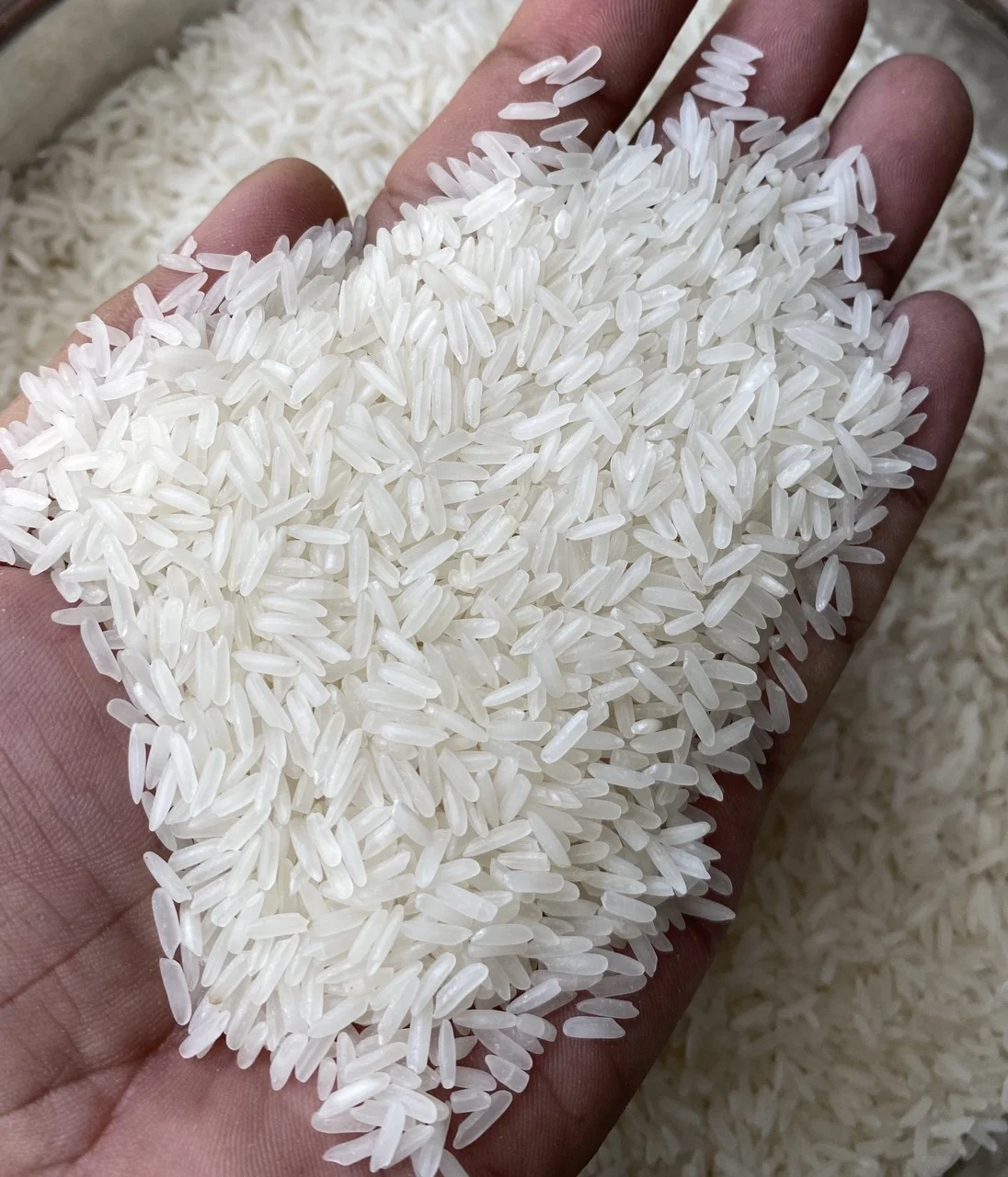 Broken Polished and Sotexed Premium Quality 5% Jasmine Rice Top Exporter White Rice 5KG 10KG 25KG 50KG Vietnam (WA 84 971827680)