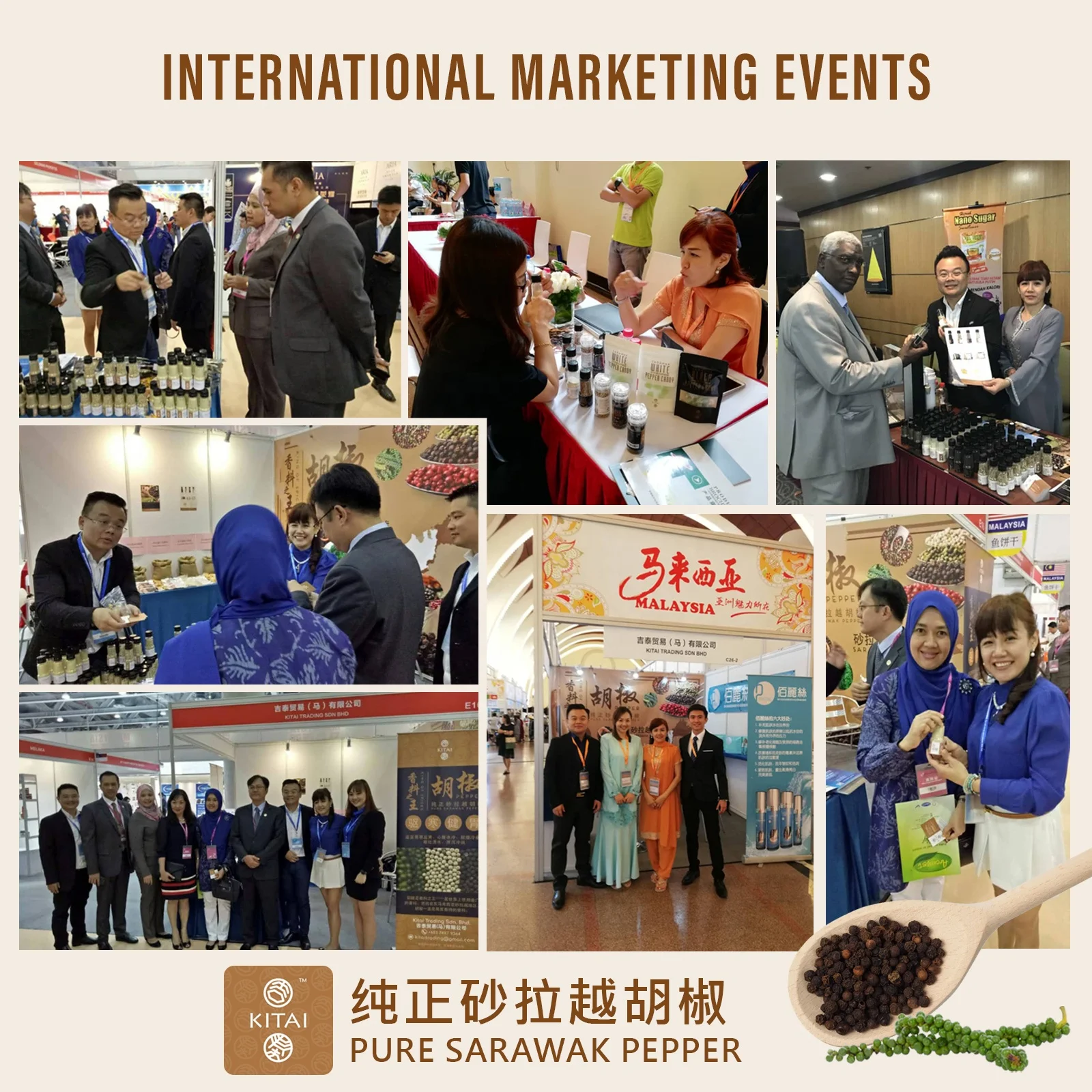 Sarawak (Malaysia) Black Pepper 50g (Ground) Premium Grade High Quality HALAL Pure Natural Spice