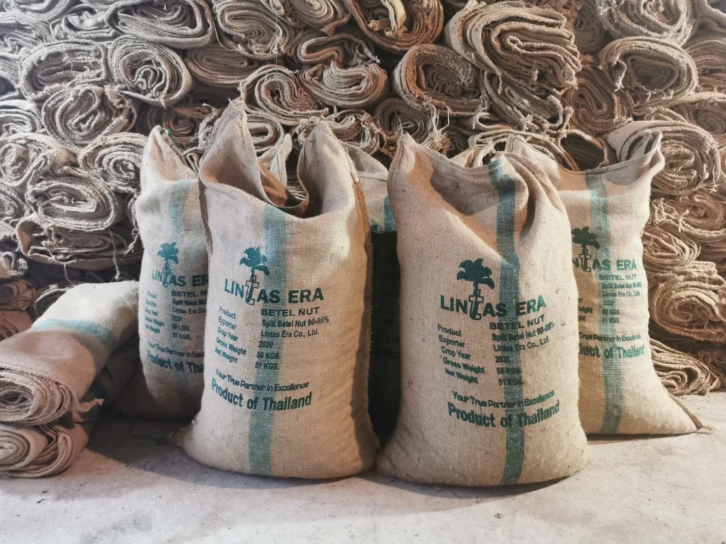 Best Selling Export Quality Areca Whole Betel Nut High Quality Betel Nuts Products From Thailand