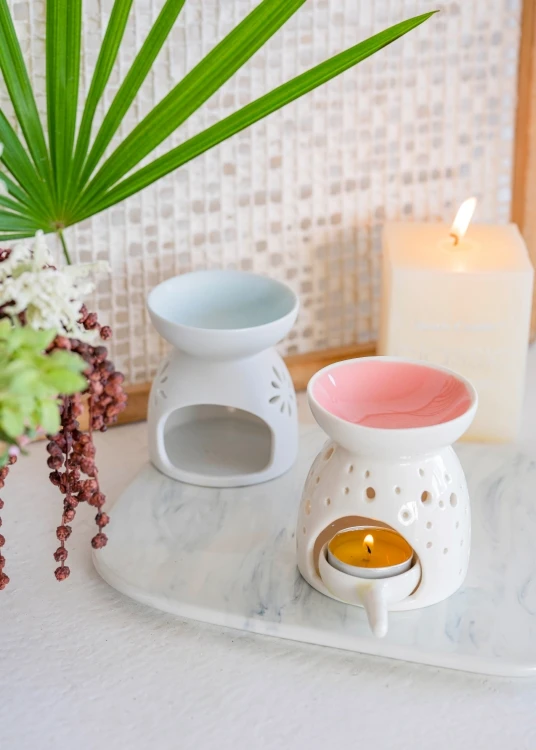 Ceramic Sponge Holder for Kitchen Sink - Kitchen Sponge Holder/Bathroom Soap Tray with Cute Pig Design dehua hengfei