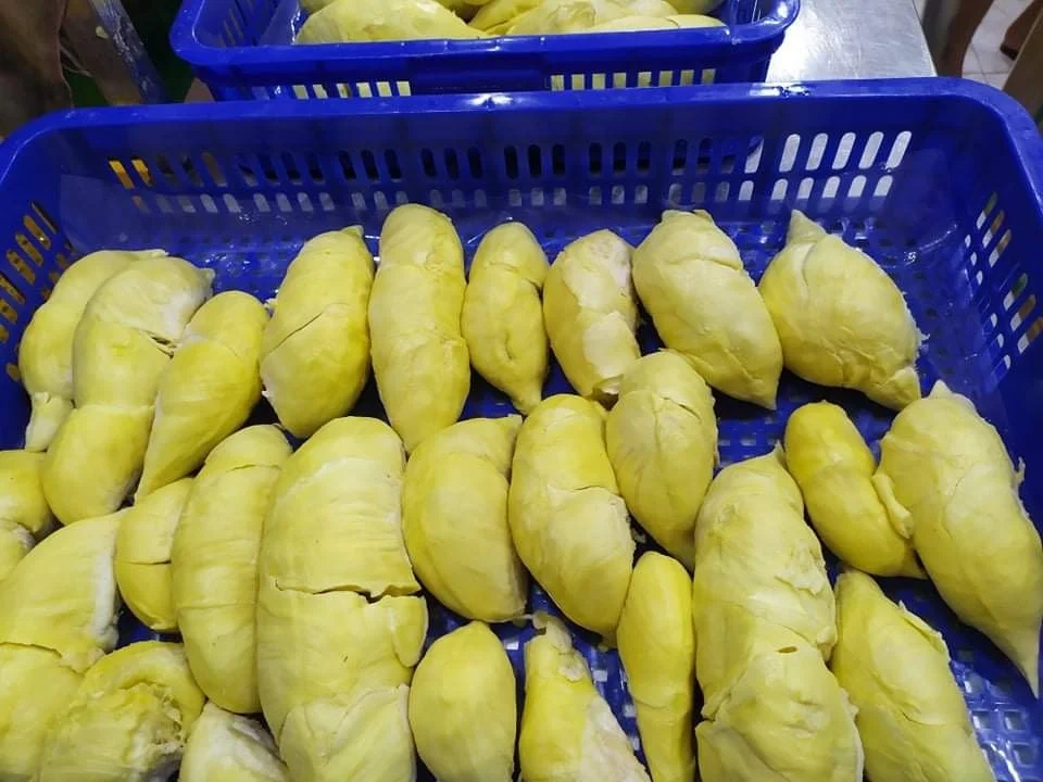 Органический вкусный светло-сладкий натуральный без сахара замороженный дуриан из Вьетнама