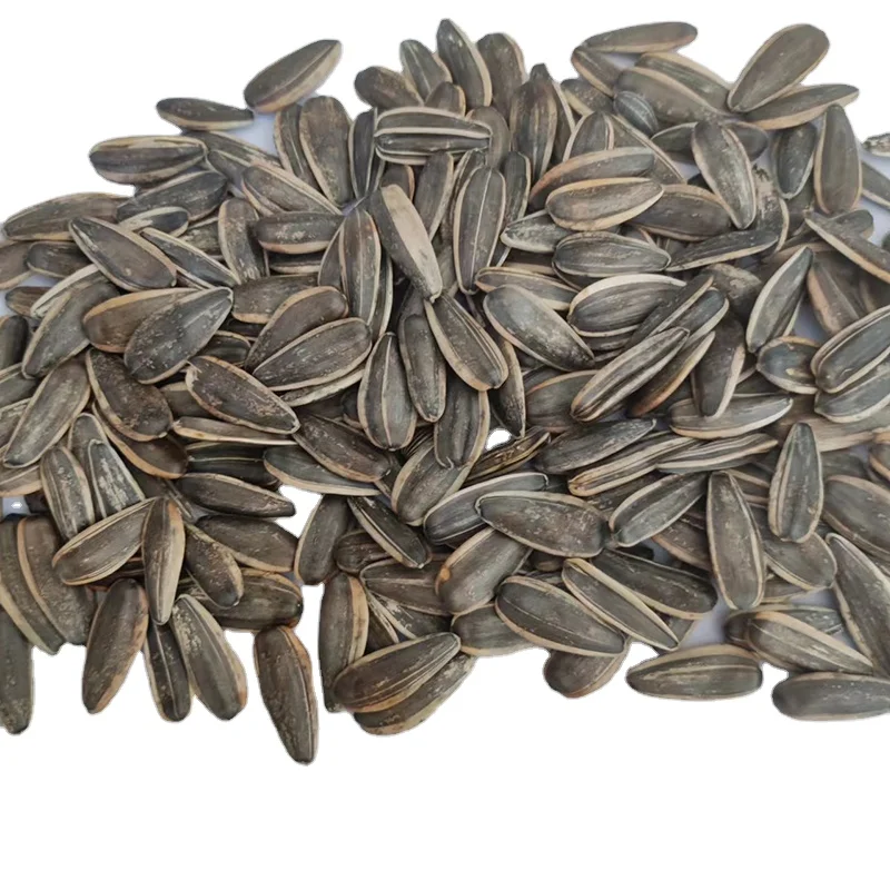 Sunflower Kernel Wholesale Price 2022 Crop Cheap Price Raw Sunflower Kernel
