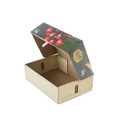 Manufacturer Price Custom Corrugated Cardboard Fruit Gift Packaging Box for Vegetables Use in Agriculture