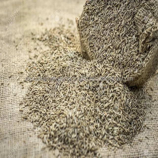  Специи 100% гарантированные семена тмина