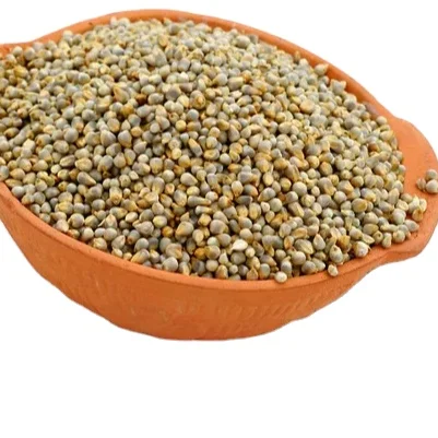 Best Quality Hot Selling Wholesale 100% Pure and Natural Green Millet for Animal Feed