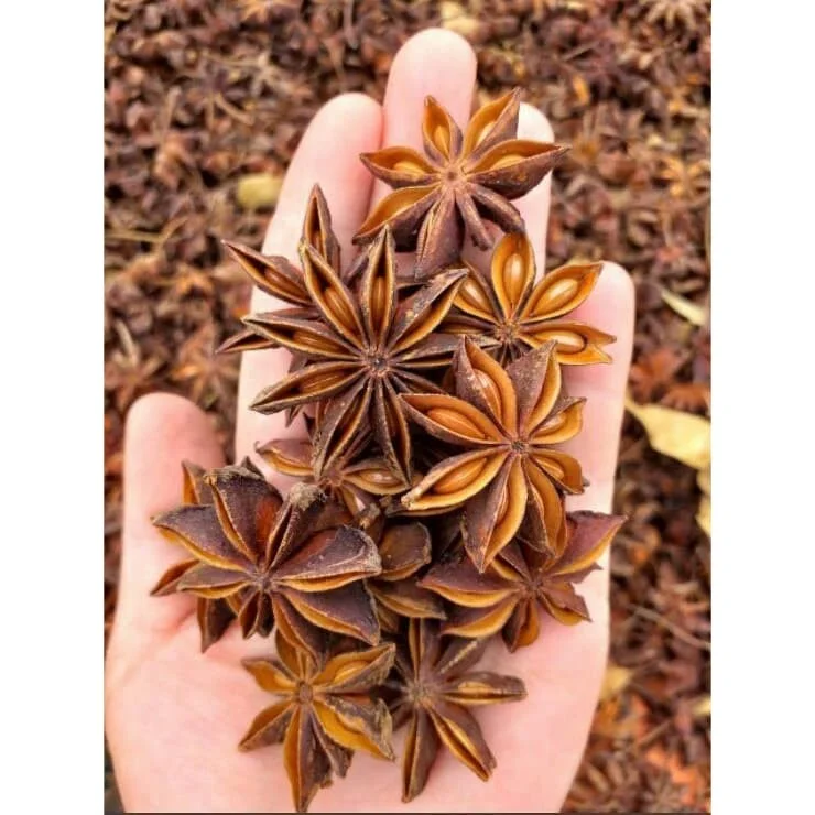 The best price in the market for star aniseed - Ms Ruby +84 359318390