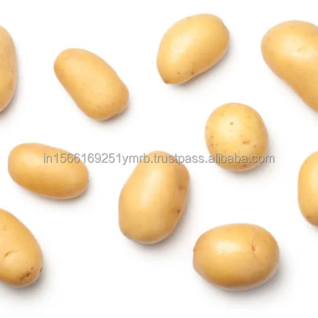 Vegetables Price Potato Fresh Potatoes Fresh Vegetable